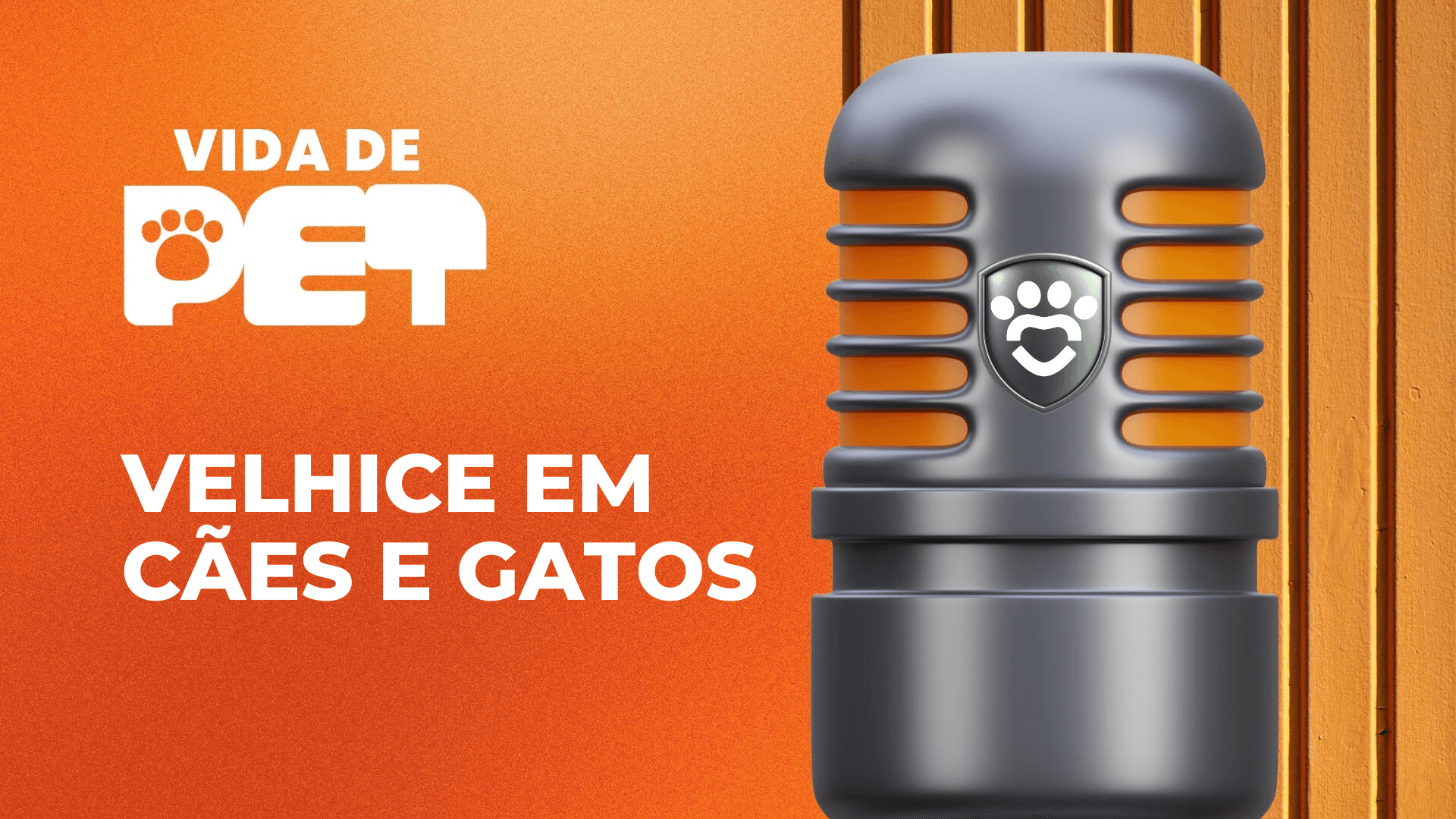 Envelhecimento em Cães e Gatos