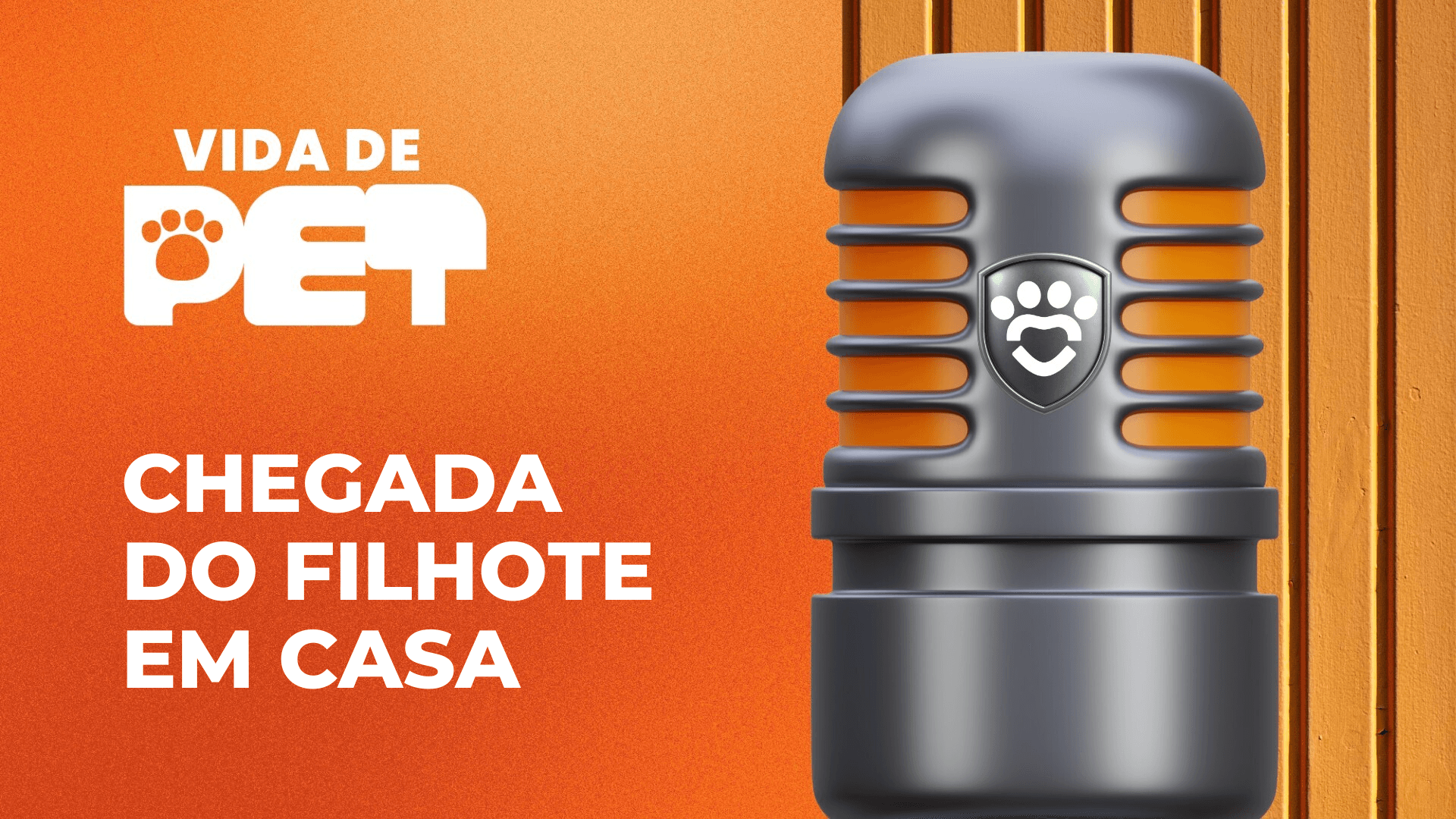 Chegada do Filhote em Casa